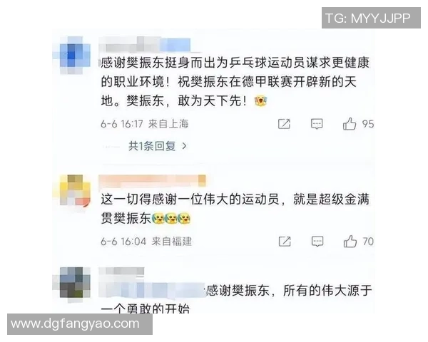 武汉乒乓球队实力引发热议球迷对力量争议的不同声音