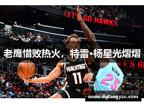 老鹰惜败热火，特雷·杨星光熠熠