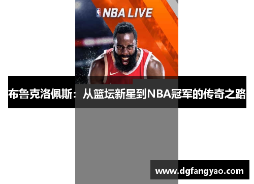布鲁克洛佩斯：从篮坛新星到NBA冠军的传奇之路